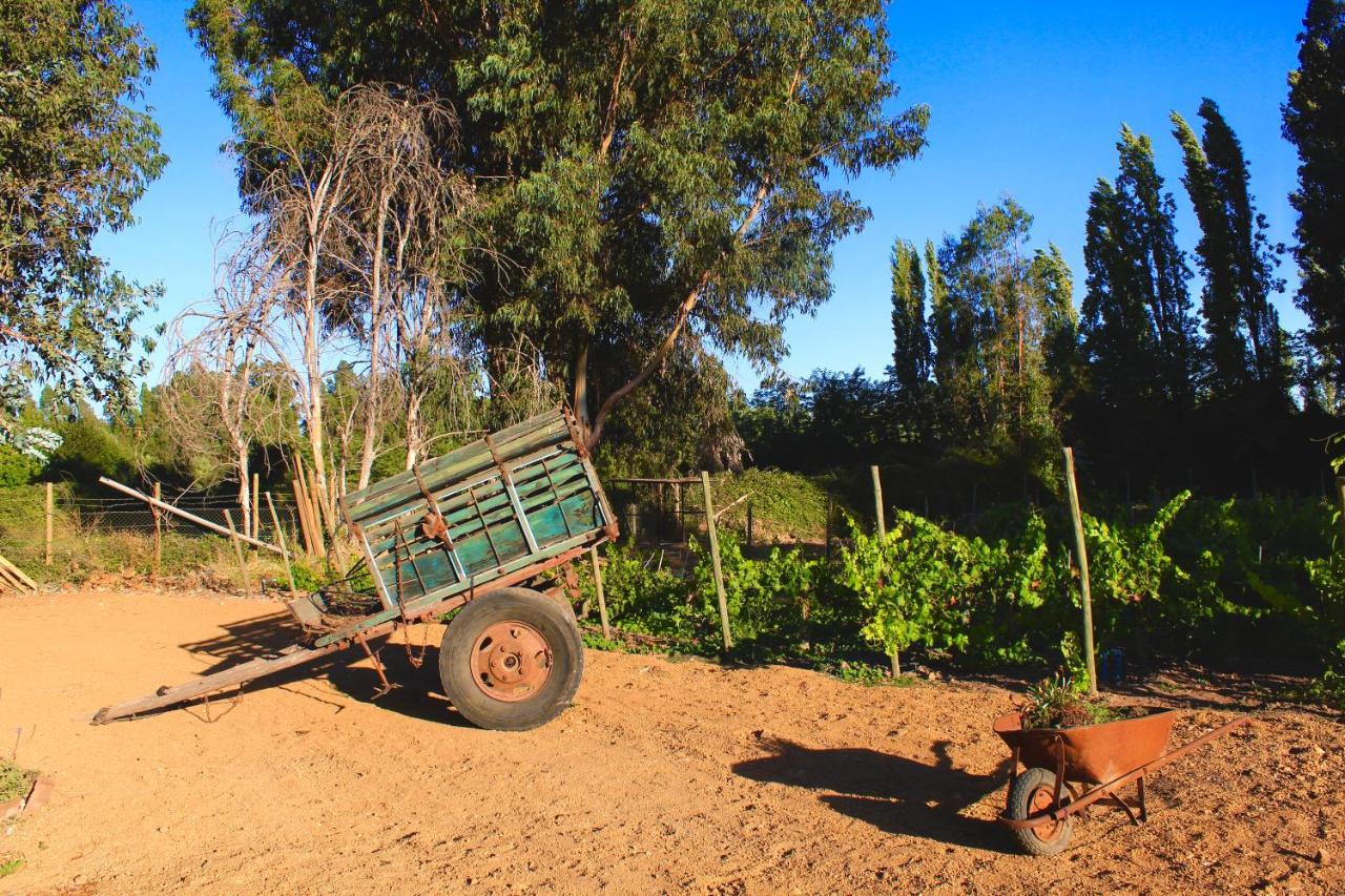 סנטה קרוז Hotel Boutique Raices De Colchagua מראה חיצוני תמונה