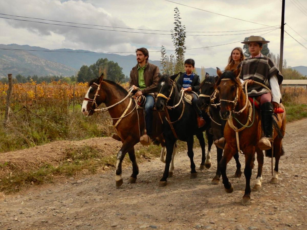 סנטה קרוז Hotel Boutique Raices De Colchagua מראה חיצוני תמונה